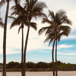 Meet your Posher, Elba